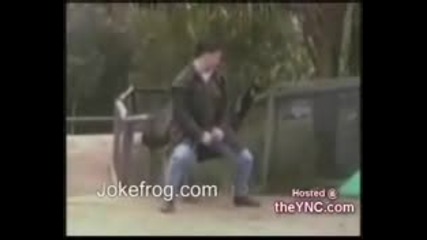 animal - dance.flv
