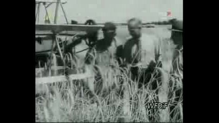Тракторите И Комбайните През 1950 Година