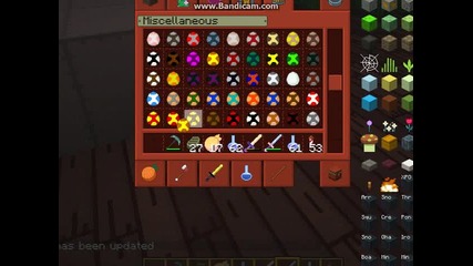 Minecraft rules