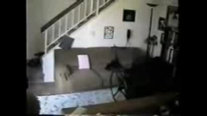 Funny Accidents - 2