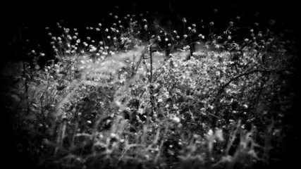 10000 Sounds Project - Heaven (original Mix)