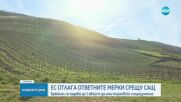Брюксел ще удължи временното спиране на своите ответни мерки спрямо митата на САЩ