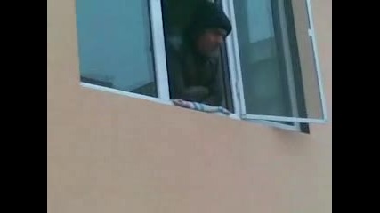 дрогирано магаре 