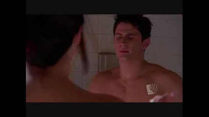 One Tree Hill