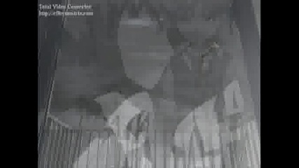 Evanescence - My Immortal