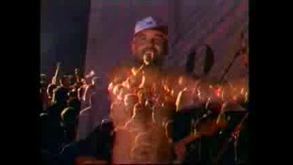 Berkstock - 2000 - D2