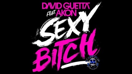 david guetta ft akon - sexy bitch 