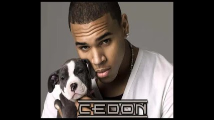 Chris Brown - Hands Up High (prod. by Swizz Beatz) [new Song 2011]