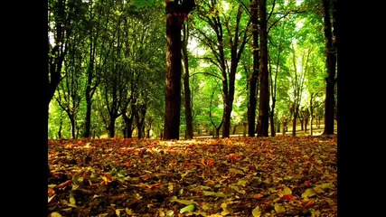 Красотата на Майката Природа (високо Качество)