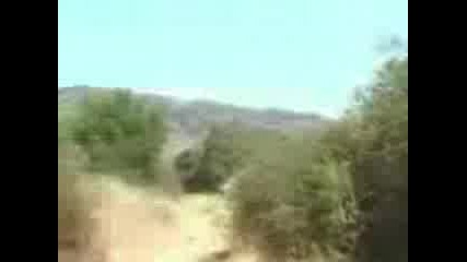 Зайо Байо