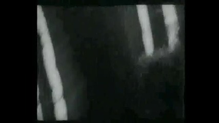 vuk1 