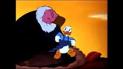 Donald Duck - Contrary Condor