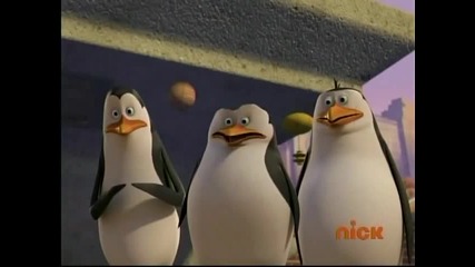 The Penguins of Madagascar The Penguin Stays in The Picture 