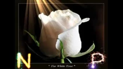 Love is all Marc Anthony 