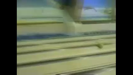 Remi - Тенис