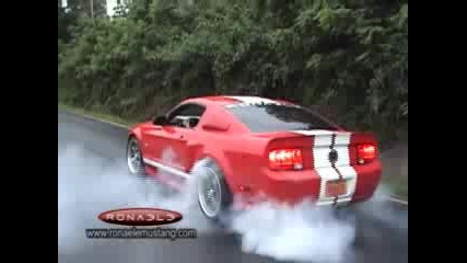 Ronaele Mustang better than Shelby Gt 500 or Eleanor
