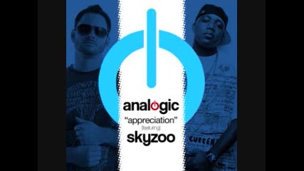 Analogic Feat. Skyzoo - Appreciation