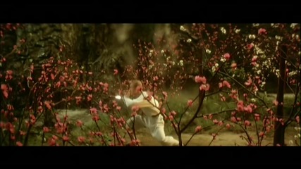 Jet Lee - Shaolin Temple (1982)
