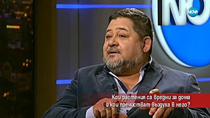 Кои растения са вредни за дома и кои пречистват въздуха в него?
