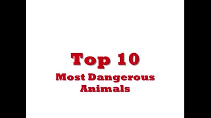 Топ10 Най-опасните животни на земята
