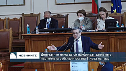 Депутатите няма да си намаляват заплатите, партийната субсидия остава 8 лева на глас