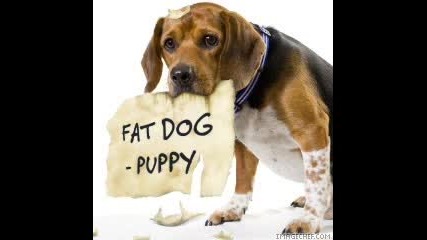 Fat Dog - Puppy