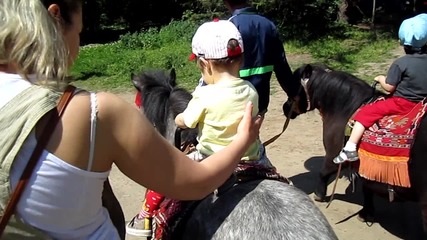 Picture 004