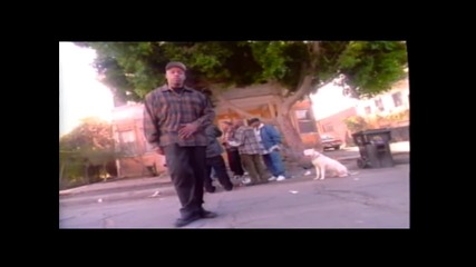 Nate Dogg Ft. Xzibit , Eminem - Say My Name ( Мое Фен Видео )