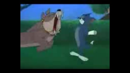 Tom & Djery (bg parody) 