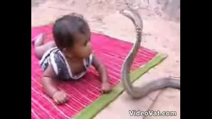 Bebe I Kobra (indiiska)