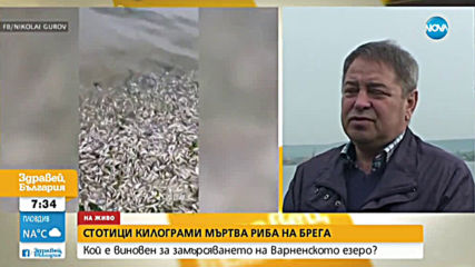 Откриха стотици килограми мъртва риба на брега на Варненското езеро