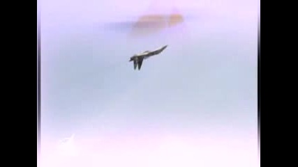 Su - 27 Family Knaapo - Su - 35