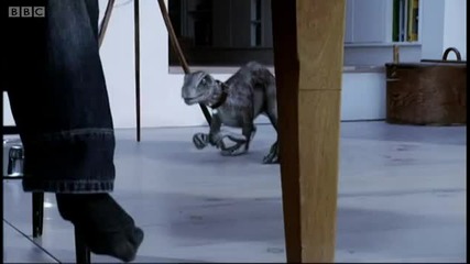 Which dinosaur would you have as a pet - Horizon - Bbc 