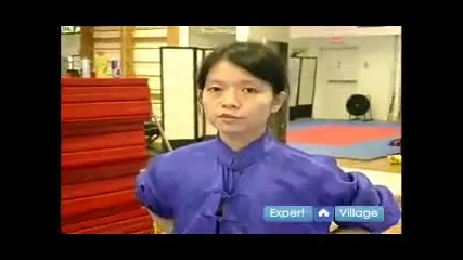Advanced Wushu Techniques : The Wushu Butterfly Kick 