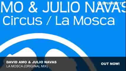 David Amo & Julio Navas - La Mosca (original Mix)
