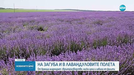 Новините на NOVA (07.06.2025 - централна емисия)