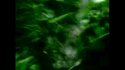 Лудото Ми Куче
