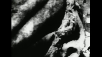 Marilyn Manson - Cryptorchid