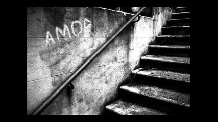 Marco Di Mauro y Maite Perroni-a partir de hoy