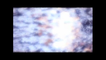 Animal Armageddon - Coming Soon
