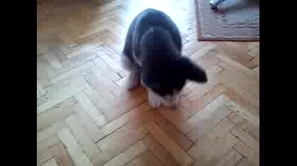 Vid_20120312_134512