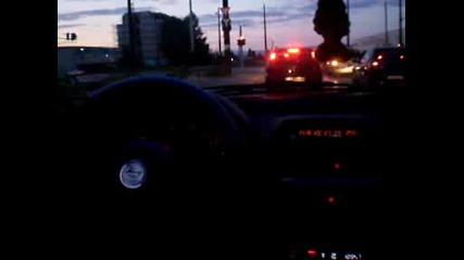 Besnata tigra & company