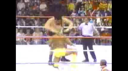 Hogan Vs Andre The Giant