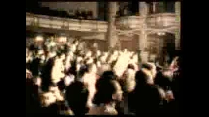 The Feelers - Venus