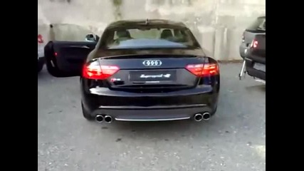 V8 