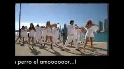 Perro Amor cancion