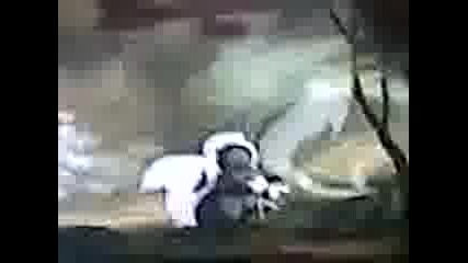 Видео003