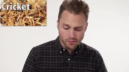Защо трябва да ядеш буболечки?