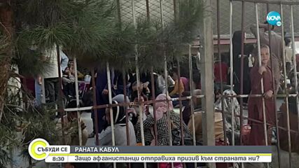 Афганистанци отправиха призив към страната ни
