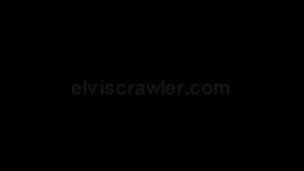 Elvis Presley Polk Salad Annie 1972.flv